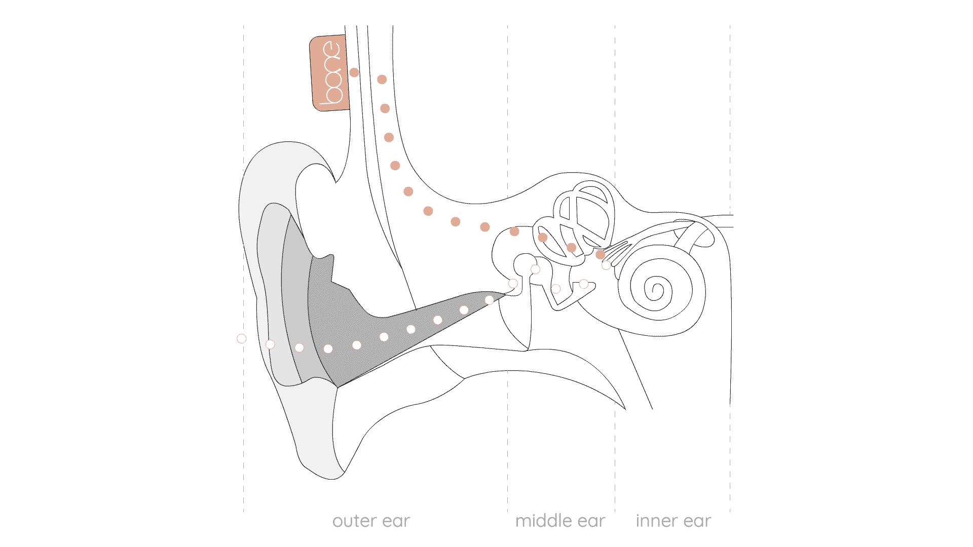 Bone headphones bone conduction technology animated gif diagram